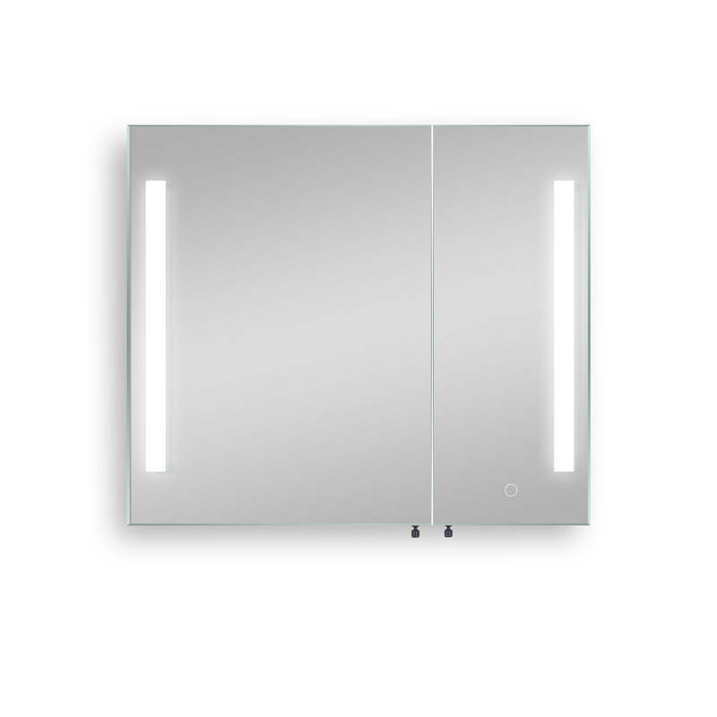 Ivy Bronx Alexyss Surface Mount Framed 2 Doors Medicine Lighting Wayfair